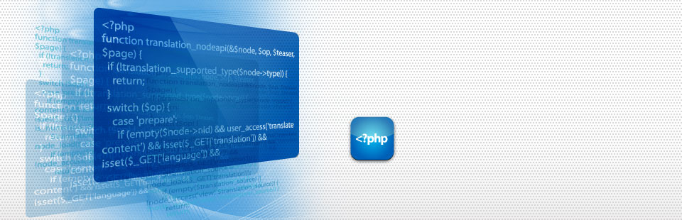 web application development banner image