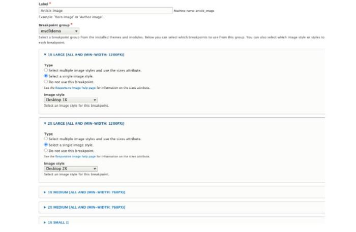 Responsive image screen shot
