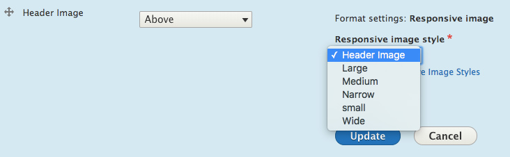 Image formatter setup in content type image field