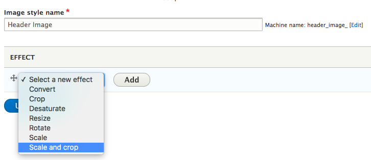 Image style dropdown