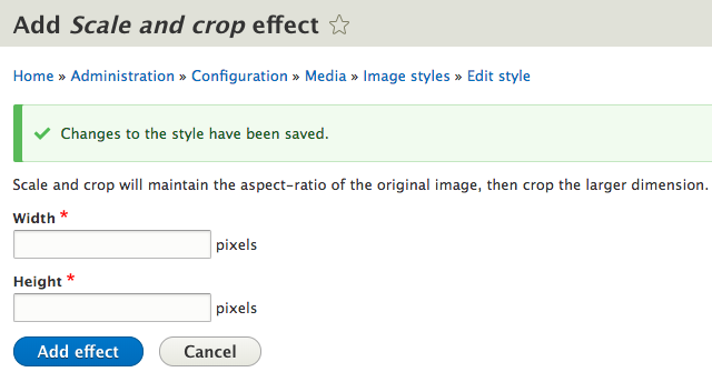 Input width and height of the image style