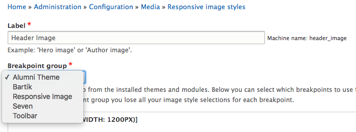 Responsive Image style