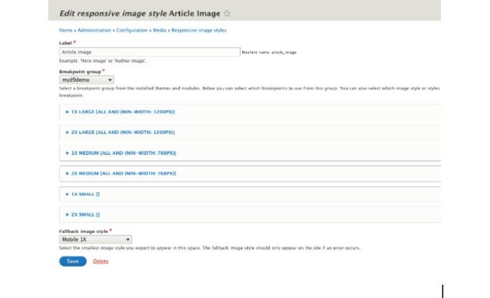 Responsive image screen shot