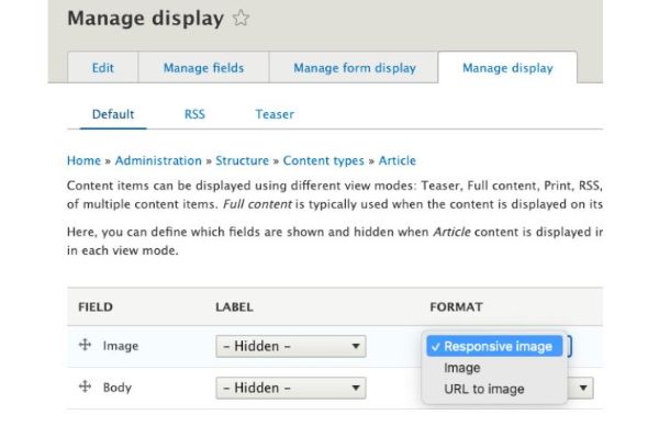 Responsive image screen shot