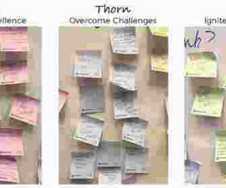 Three panels of Post-It Notes, Pink, Blue, Green for Rose, thorn, bud
