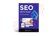 seo for drupal