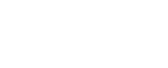 Texas DIR logo