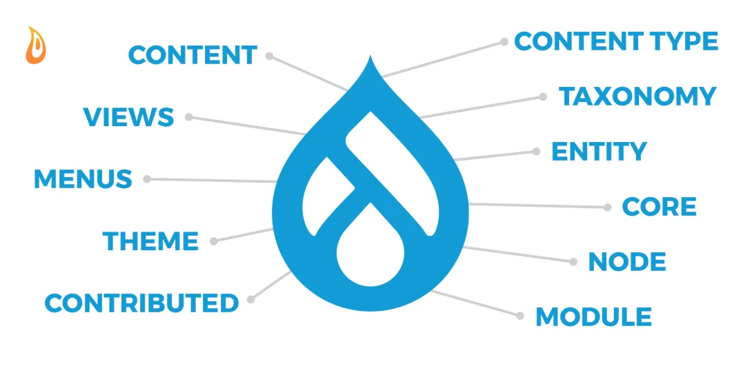 Drupal terminology and jargon