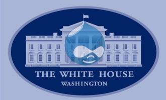 The White House Washington Drupal